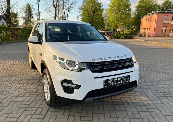 land rover discovery sport Land Rover Discovery Sport cena 81900 przebieg: 119000, rok produkcji 2017 z Pińczów